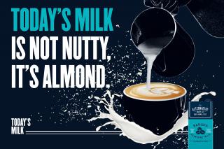 The Alternative Dairy Company: Today's Milk Not Nutty